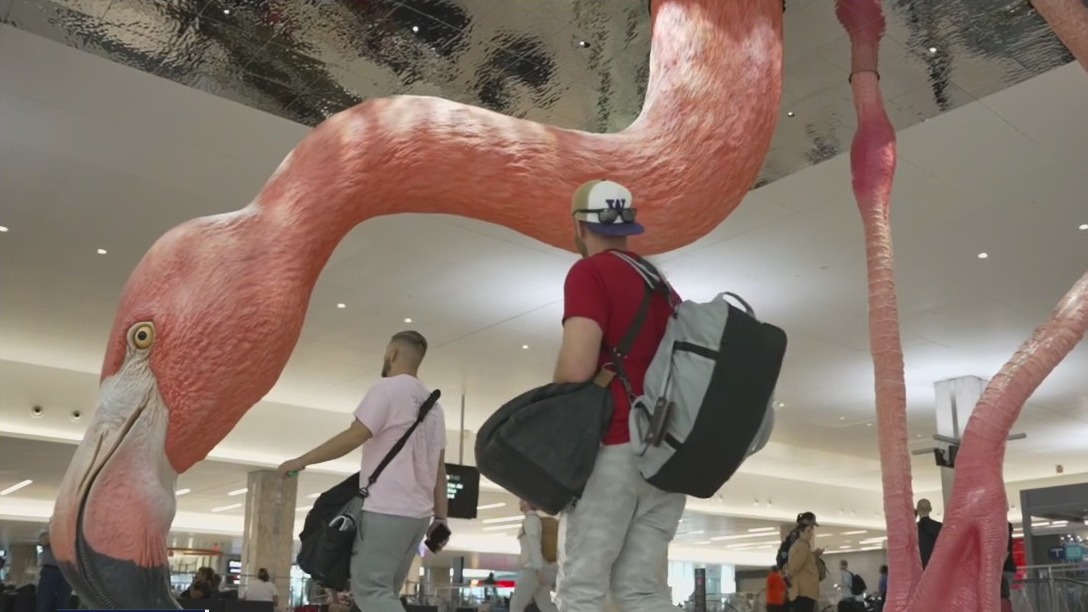 TPA flamingo